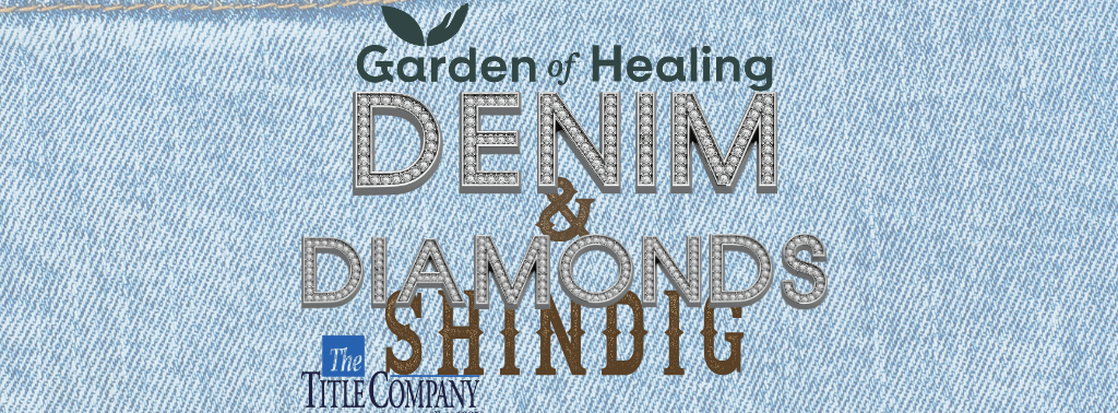Denim & Diamonds Shindig
